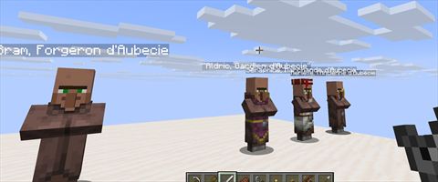 Les 4 PNJ d'Aubécie alignés en jeu