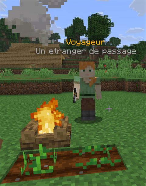 Le Voyageur en jeu